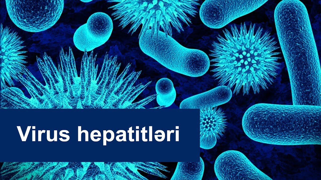 Virus hepatitləri - Uzman Hepatoloq, Qastroenteroloq Rəqsanə Cəlilova