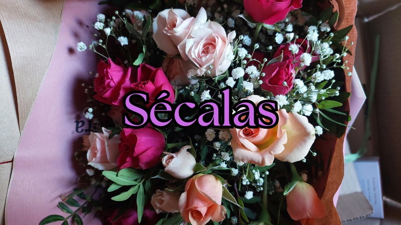 Flores secas para disfrutarlas todo el año 💐