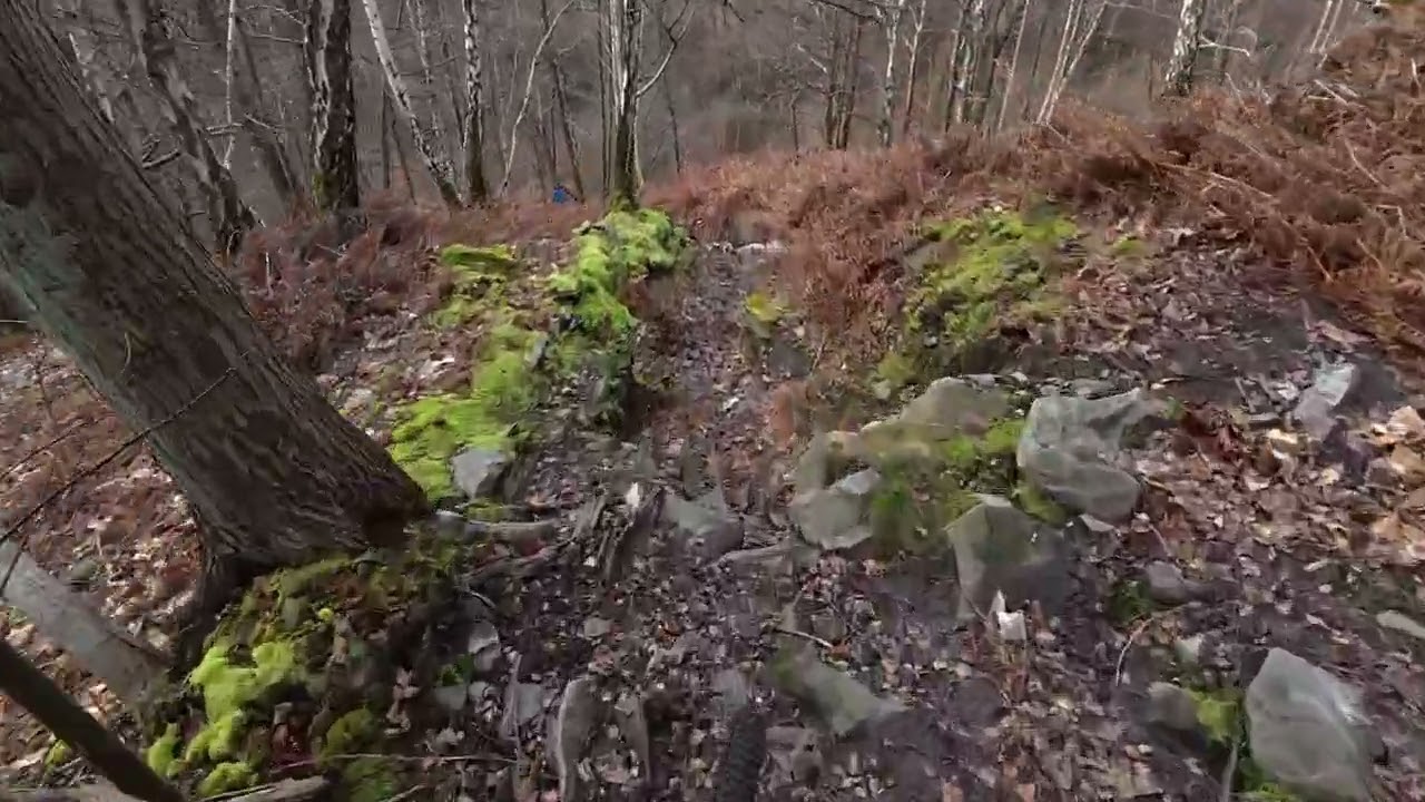 Petite sortie de Testing du Specialized Stumpjumper 15 #mtb #enduro #specialized #stumpjumper 