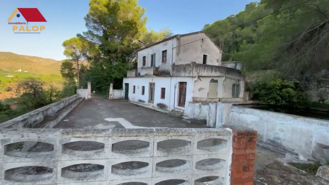 Huerto en venta con monte y terreno para cultivo en Carcaixent