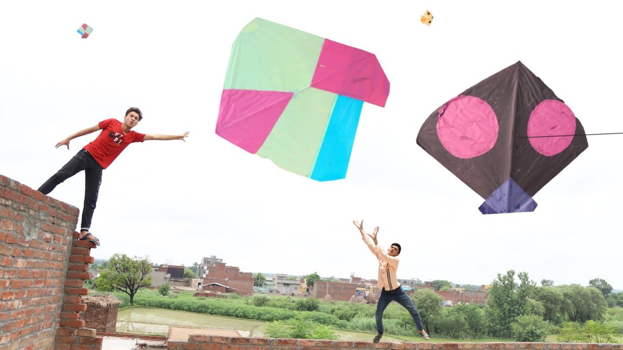 Night Kite Caught With Tree 2023