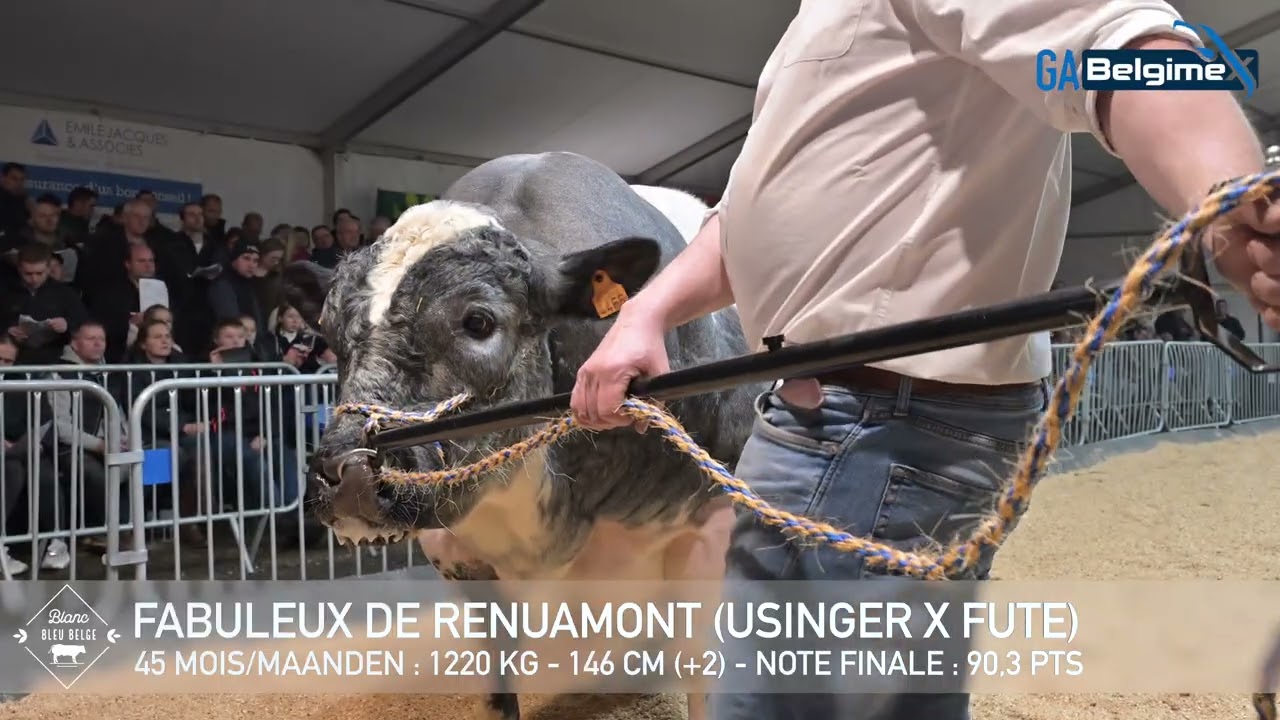 FABULEUX DE RENUAMONT (2025)