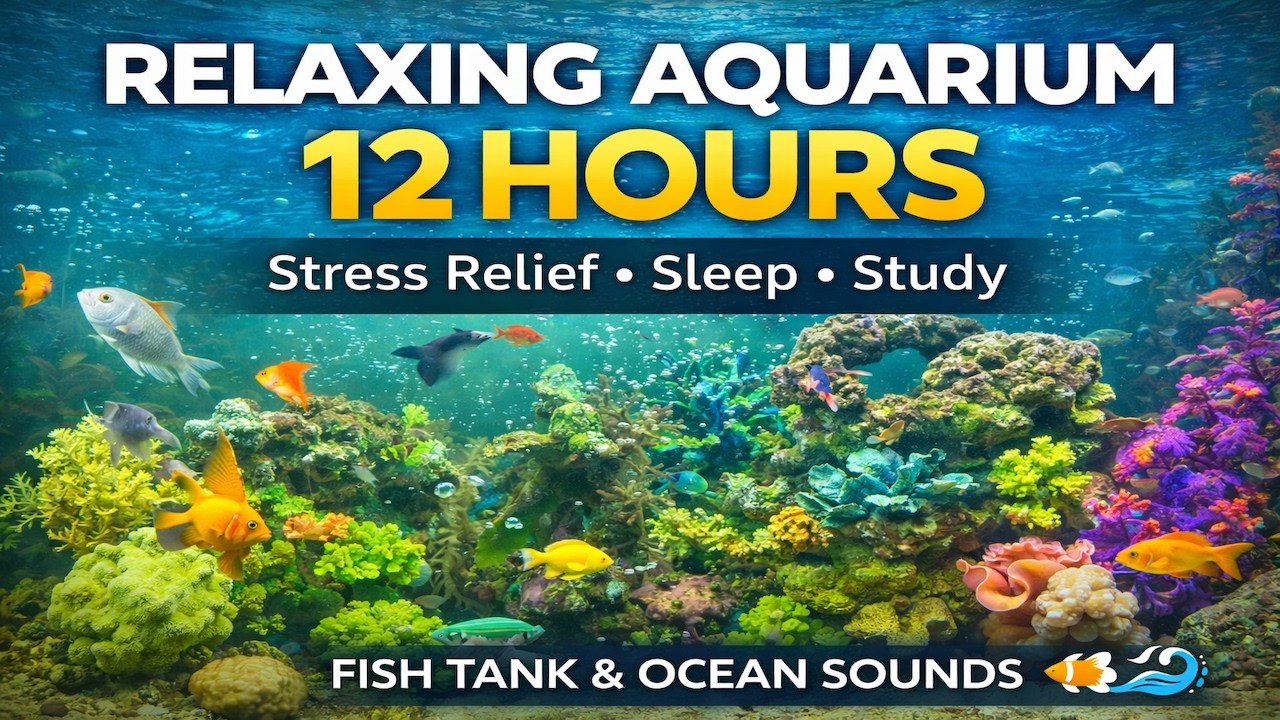 Relaxing Aquarium Fish Tank 12 Hours of Calming Underwater Ocean Sounds Sleep, Study, Stress Relief