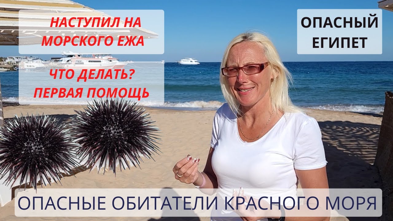 Подводный мир красного моря Уколол морской еж Что делать Первая помощь Снорклинг в Египте