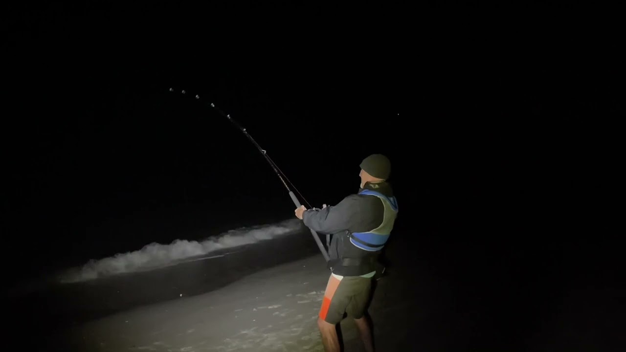 Huge Tarpon