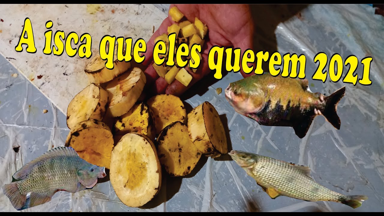 A isca que os peixes querem em 2021,1 kg por 2 reais
