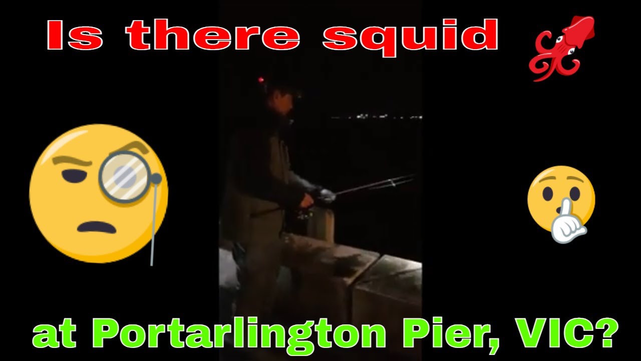 Can you  catch squid at Portarlington Pier VIC? #melbourne #australia #shorts #fyp #pinoy #landbased
