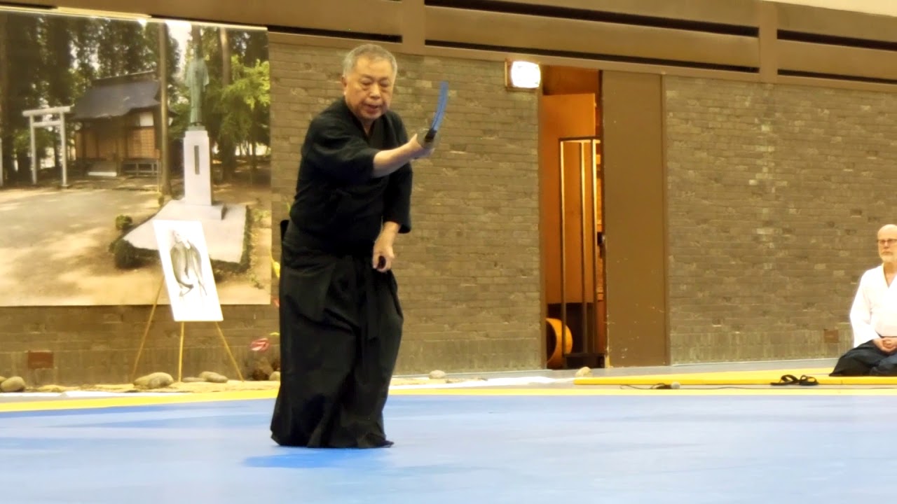 Demo Tenshin Shoden Katori Shinto Ryu (Aikidofestijn 2018)[Deel 1]