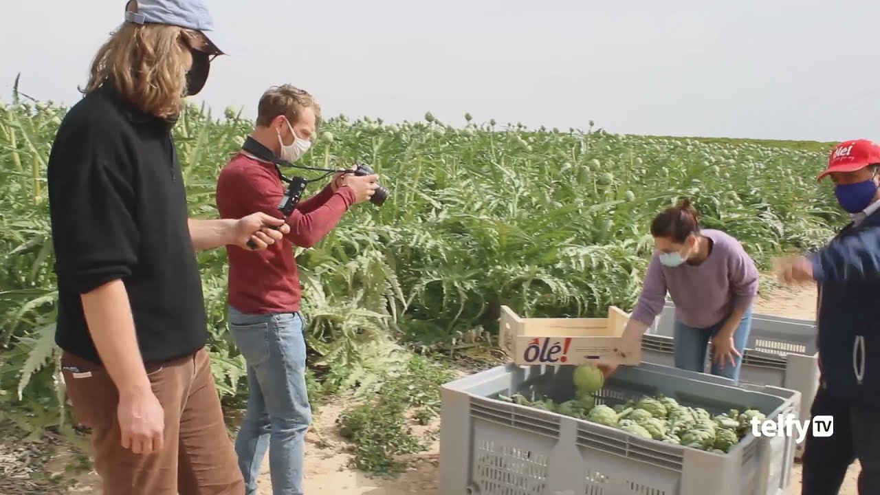 Visita chef francesa – Alcachofa Vega Baja