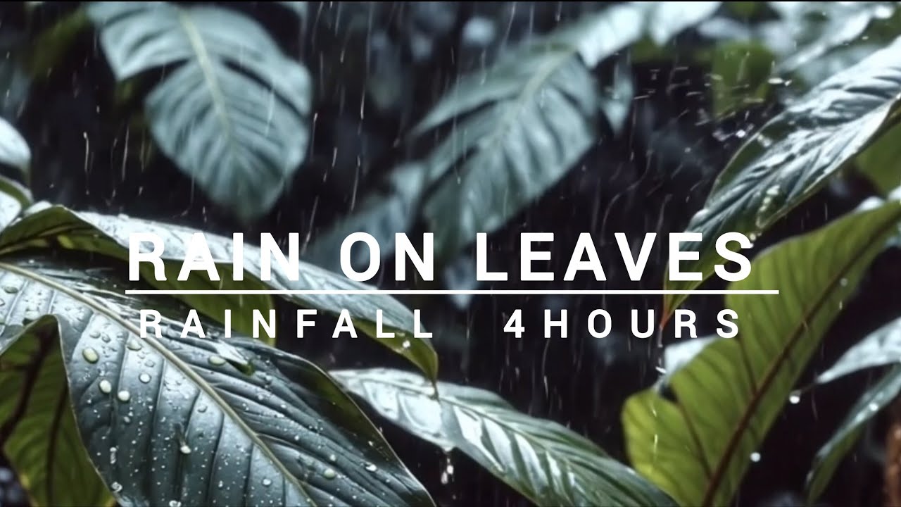 RAIN ON LEAVES🌿 | 4 HOURS RAINFALL | Deep Sleep & Focus Study Ambience 🌧️