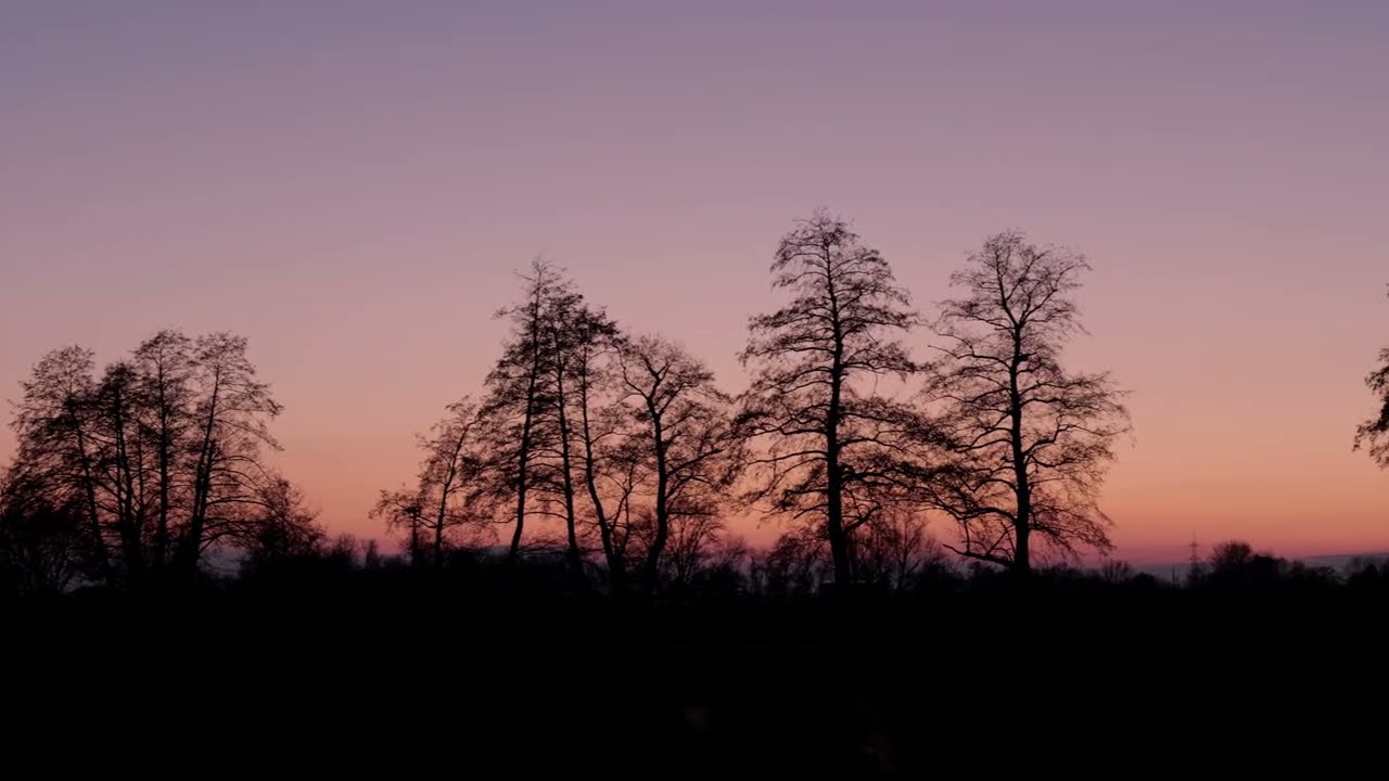 Nauheim 23.01.2023 Video Footage Fuji X-H2 8K UHD 7680 &times; 4320 ProRes 422 FLOG2