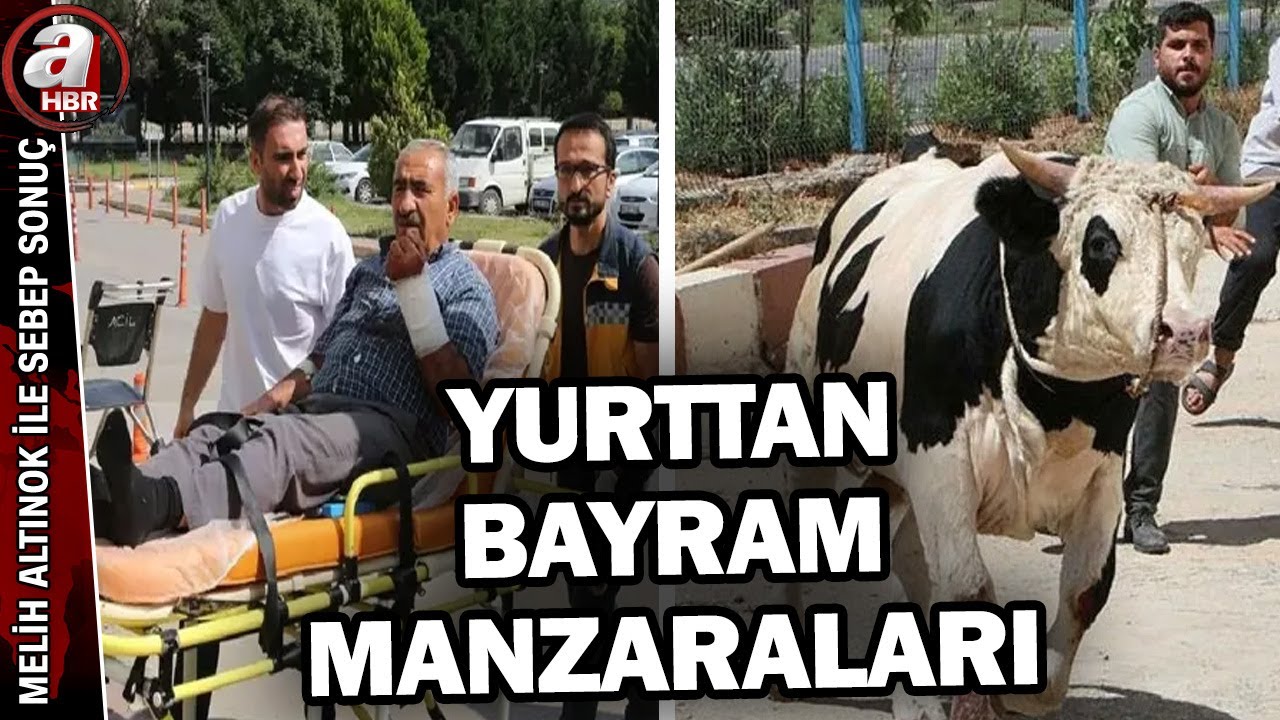 Kaçan kurbanlıklar, acemi kasaplar, bayram trafiği... İşte yurttan bayram manzaraları | A Haber