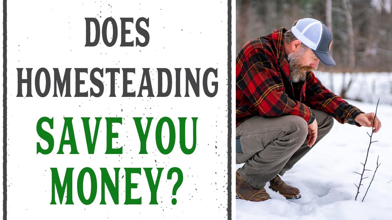 PODCAST: DOES HOMESTEADING SAVE YOU MONEY? - PANTRY CHAT #41