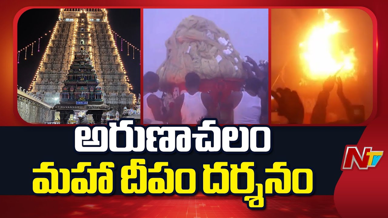 Tiruvannamalai Karthigai Deepam 2025 | Arunachalam | NTV Telugu