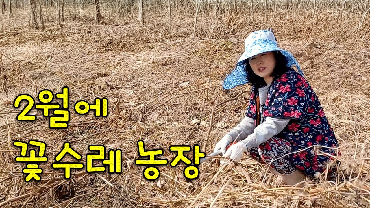 2월의 꽃수레 농장 이야기