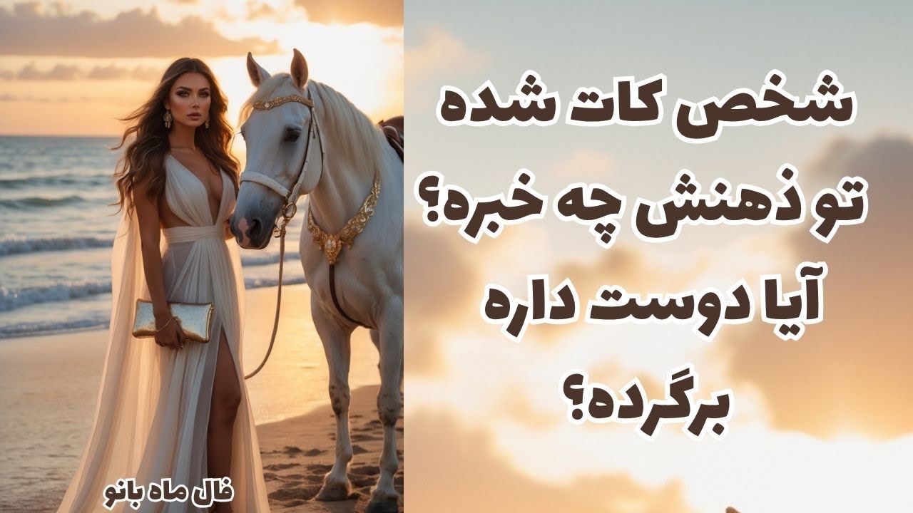 فال ماه بانو-فال احساسی مخصوص روابط سرد و کات شده-بازگشت معشوق