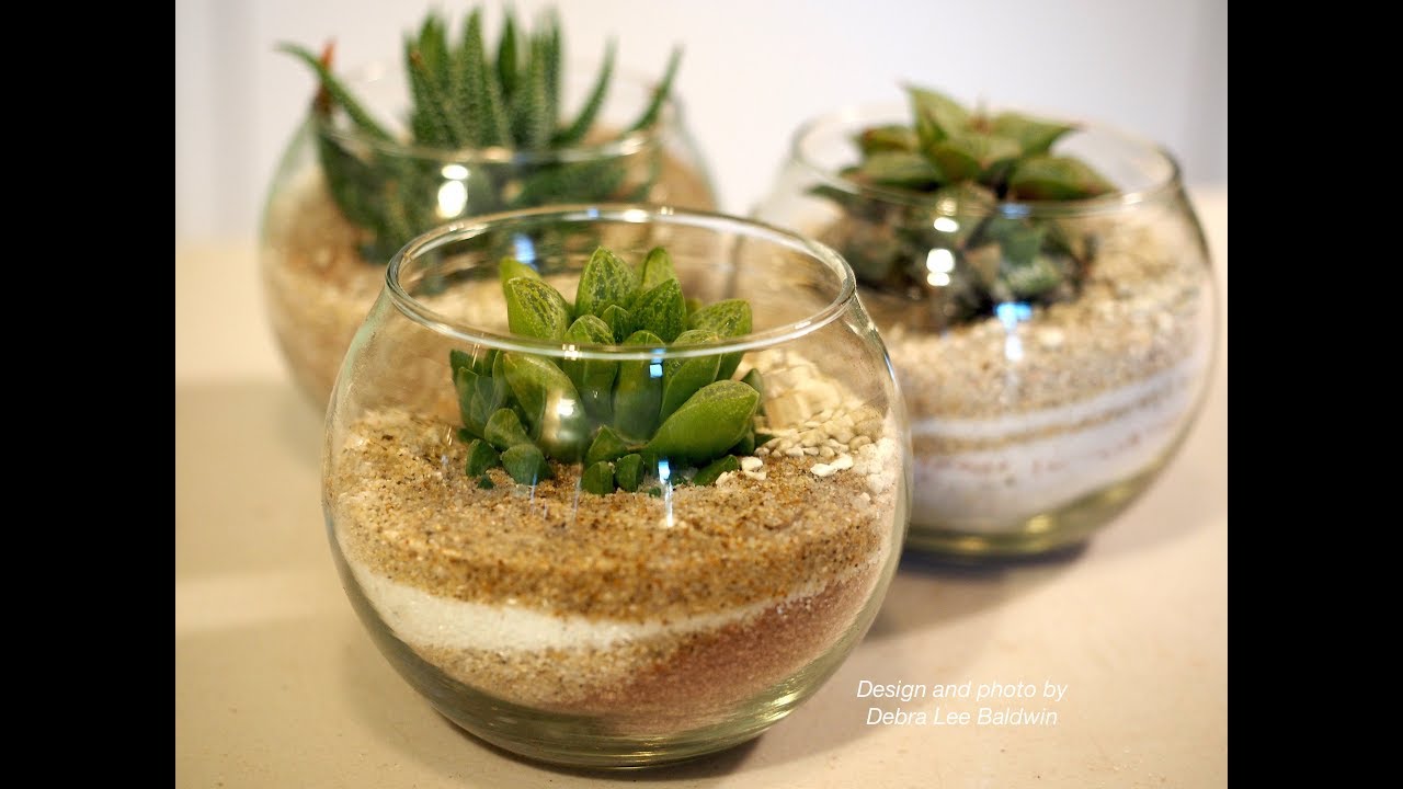How to Make Succulent Desk Buddies, DIY