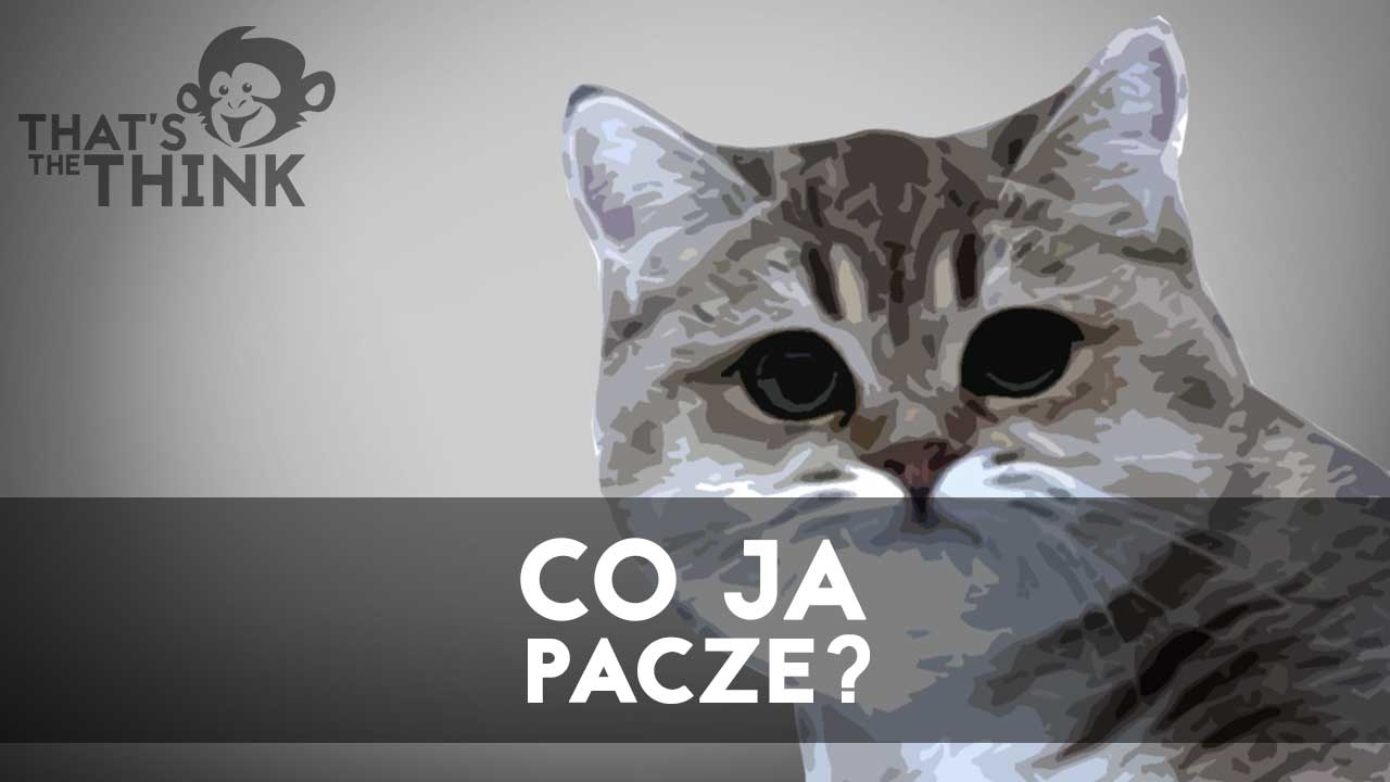 Na ile możemy ufać własnym oczom? - recepcja sensoryczna i percepcja