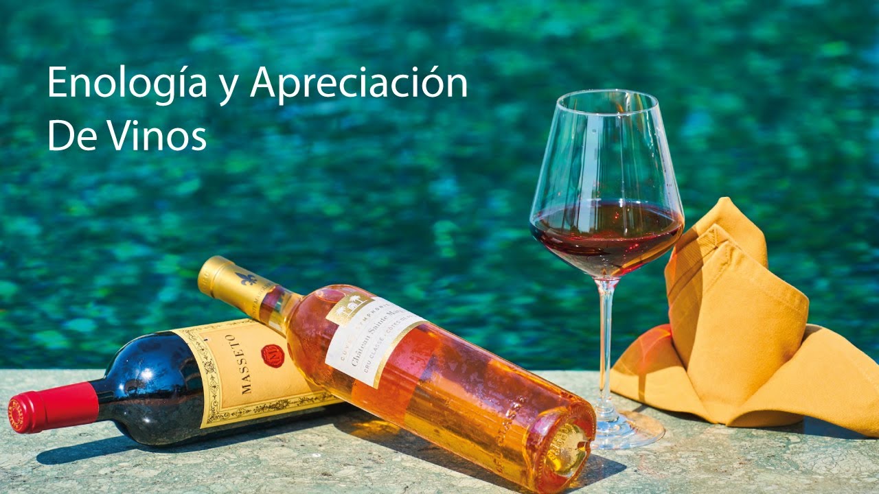 Enolog&iacute;a Y Apreciaci&oacute;n De Vinos