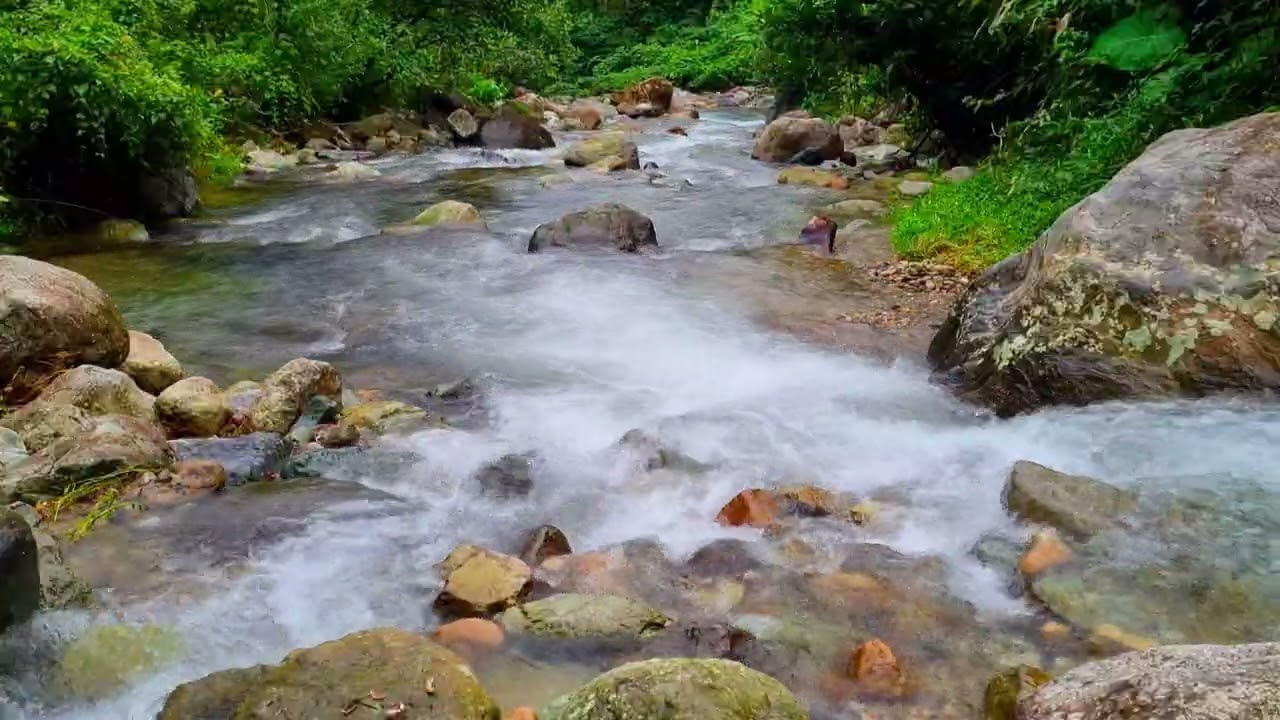 Clear River Flow For Deep Focus | 1 Hour Nature Sounds for Productivity and Study 4K