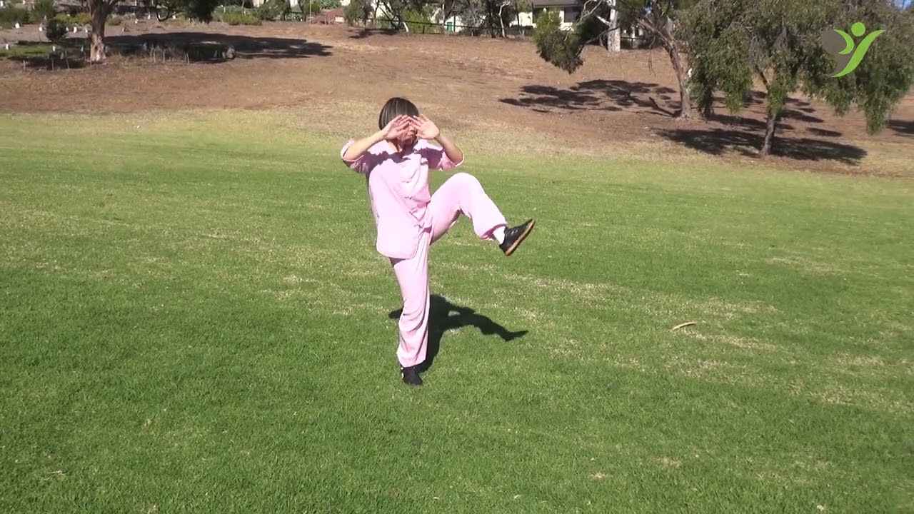 Tai Chi 42 Form (Rear view)