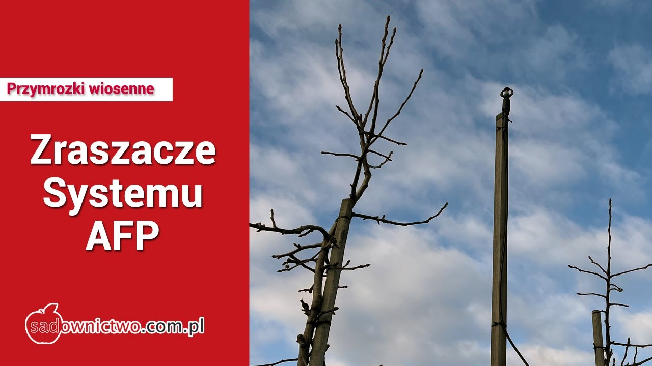 Kontrola przymrozków ? Zraszacze AFP w sadzie. [część 1]