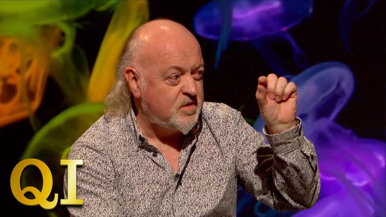 Who Owns Britain's Smallest Zoo? | QI