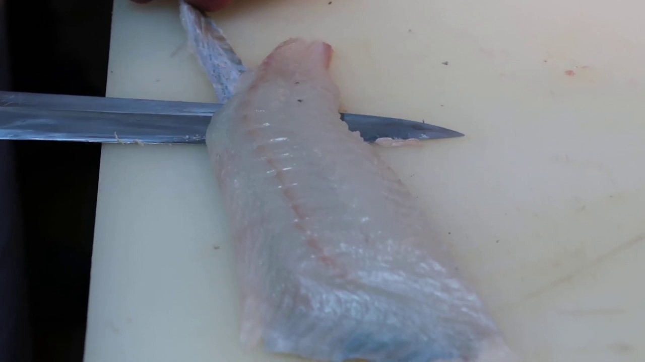 How To Skin and Debone Fish. ヒラメ 鮃、 平目 Skinning Bastard Halibut 鮨賀 2834 8686 灣仔道 125號（橫街）普樂里