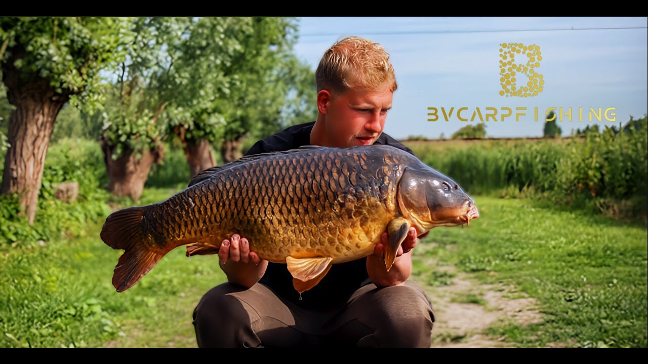 karpervissen - Visput Enkhuizen + Live aanbeet
