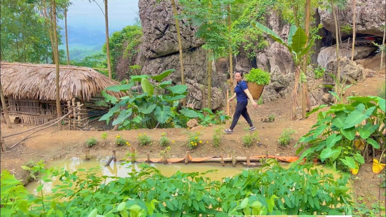 Harvesting long beans and spinach to sell at the market - Gardening