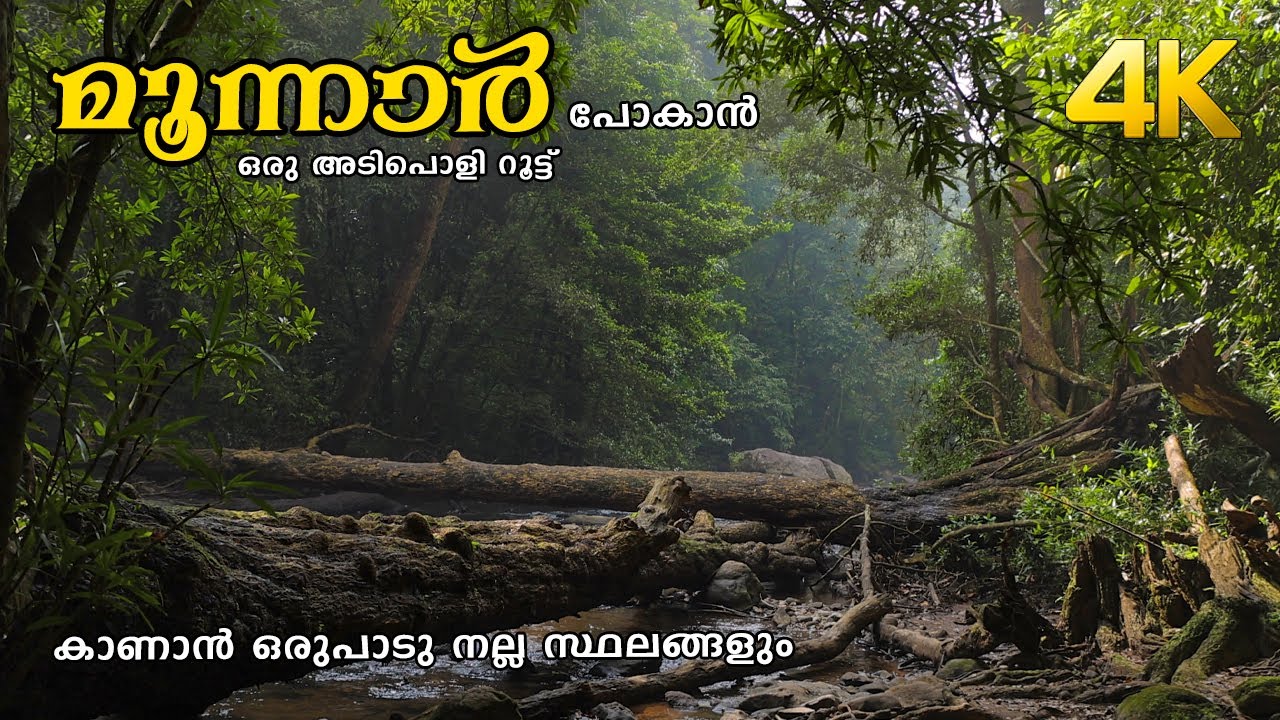 മൂന്നാർ പോകാൻ ഒരു അടിപൊളി വഴി!!! 4K