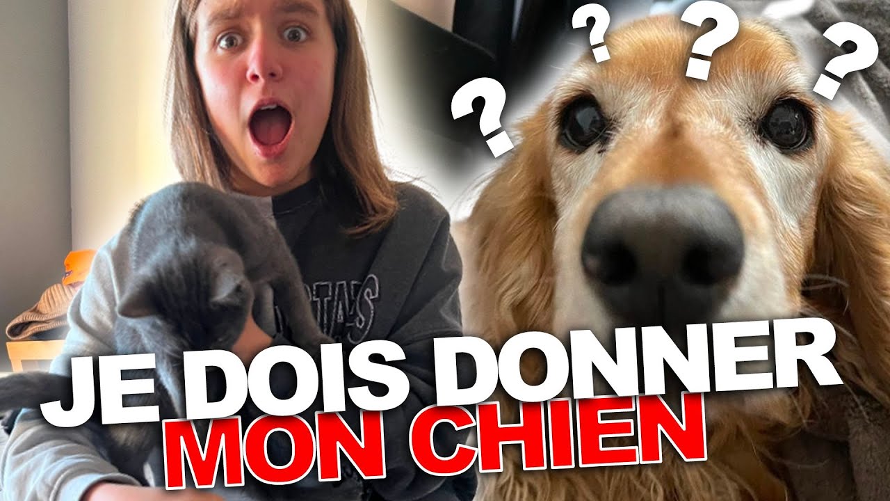 ON DOIT DONNER LE CHIEN !