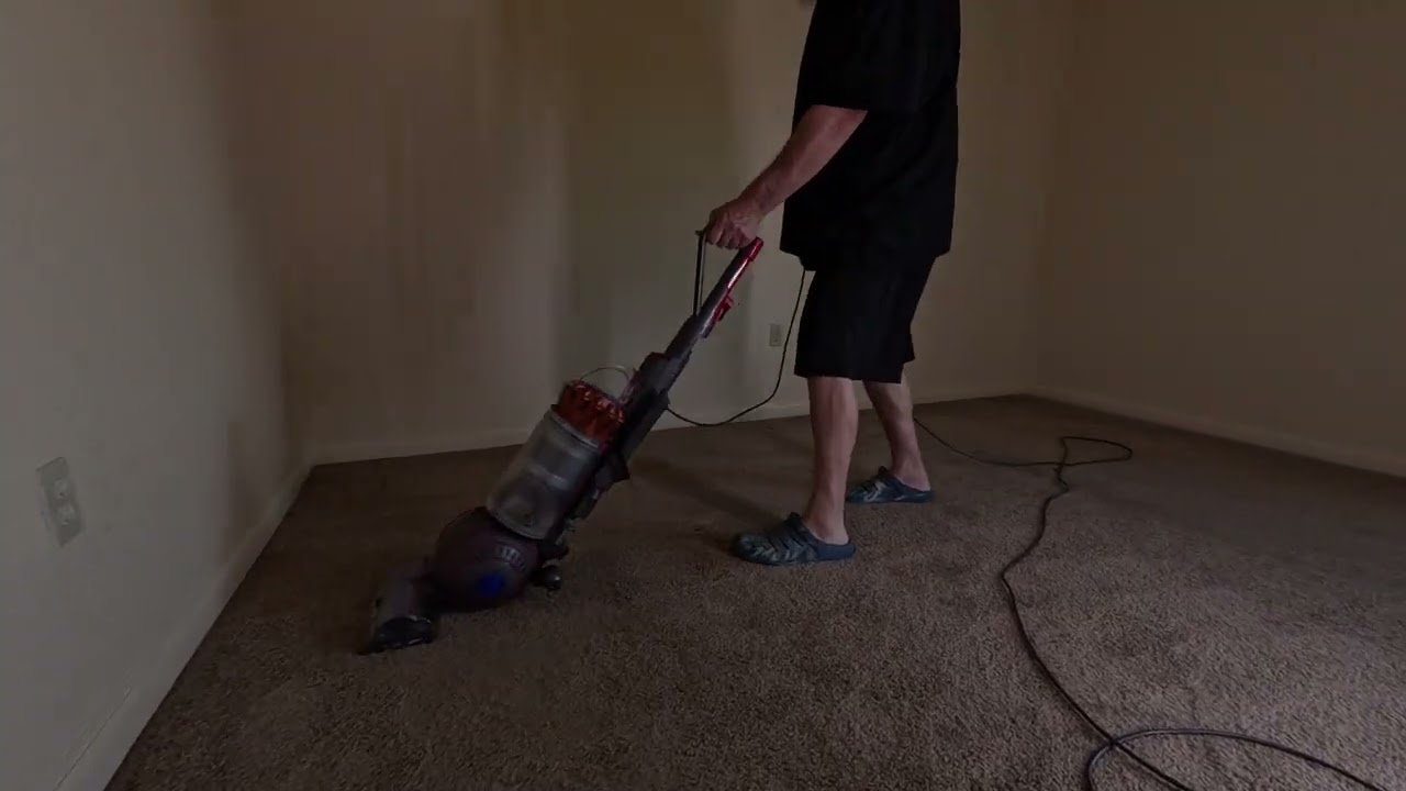 Dyson Ball Animal 3 Vacuuming Up Embedded Pet Hair