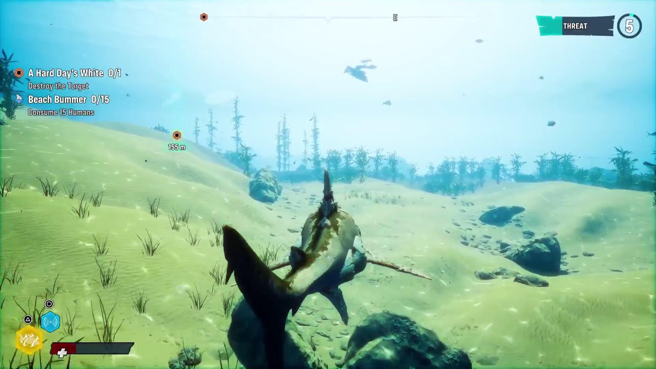 Man eater livestream