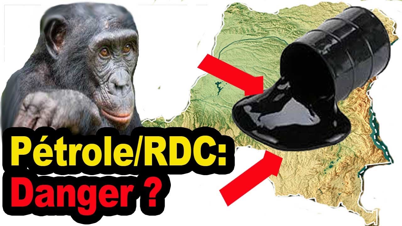 Exploitation du P&eacute;trole en RDC : Danger ou opportunit&eacute; ?