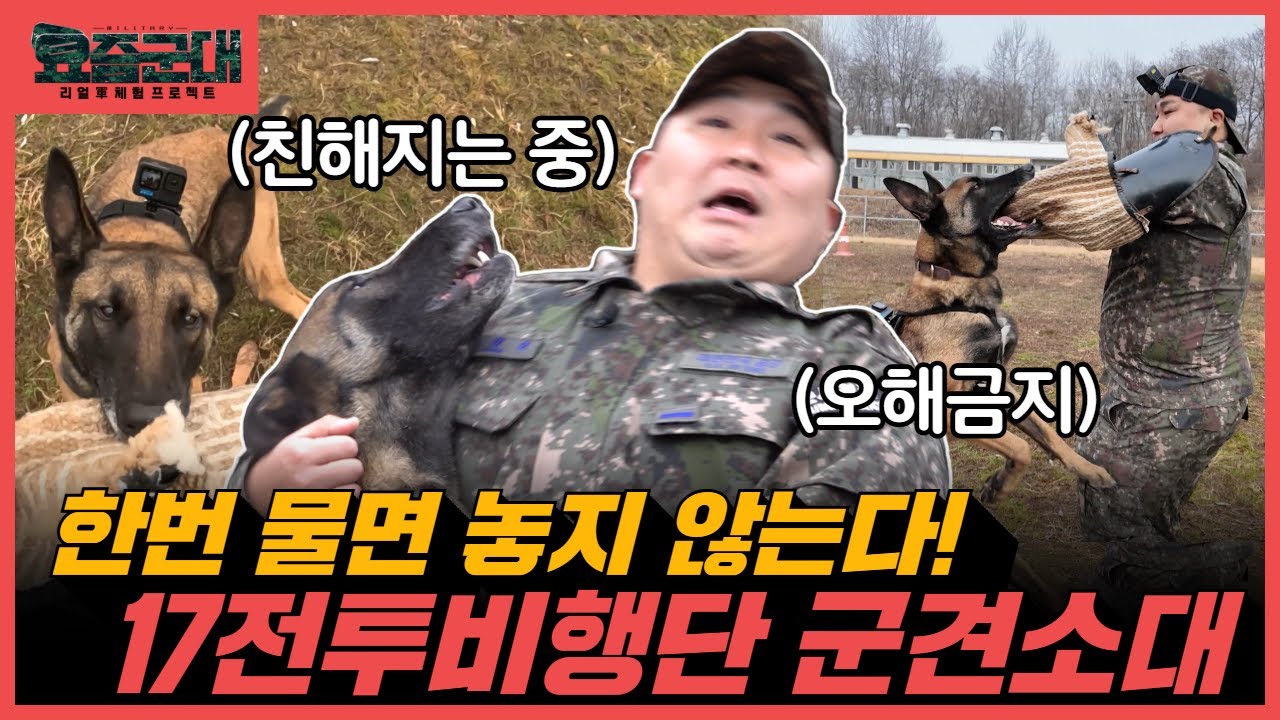 용맹함의 끝판왕! 활주로를 지배하는 네 발의 전사!공군 17전투비행단 군견소대 편 1부[요즘군대] 106회@KFNplus
