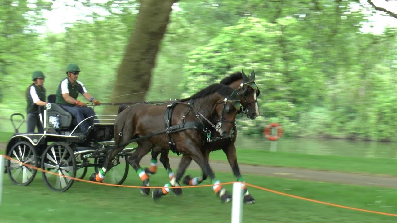 Royal Windsor Horse Show