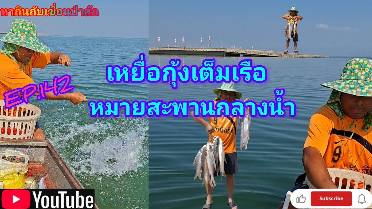 EP.142 เหยื่อกุ้งเต็มเรือหมายสะพานกลางน้ำ #fishing  #เบ็ดราว #นั่งเรือตกปลา #หากินกับเขื่อนป่าสัก 