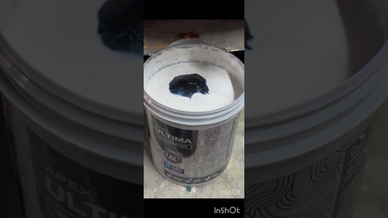 Apex ultima metallic exterior colour #automobile #opusclip #asianpaints