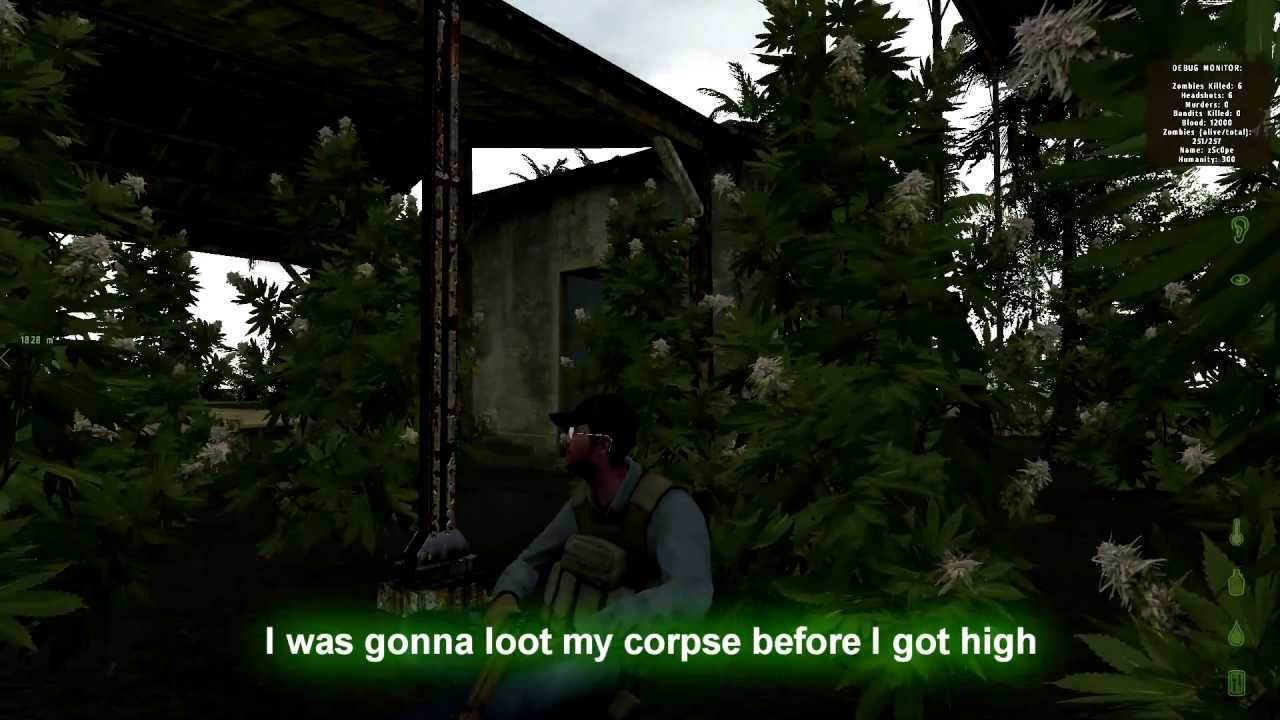 CauZe I got high - A DayZ Parody Song