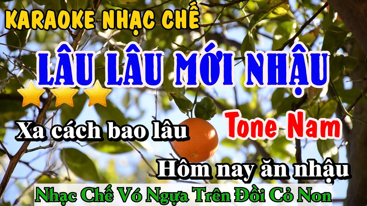 Karaoke Lâu Lâu Mới Nhậu Tone Nam - Nhạc Chế Vó Ngựa Trên Đồi Cỏ Non