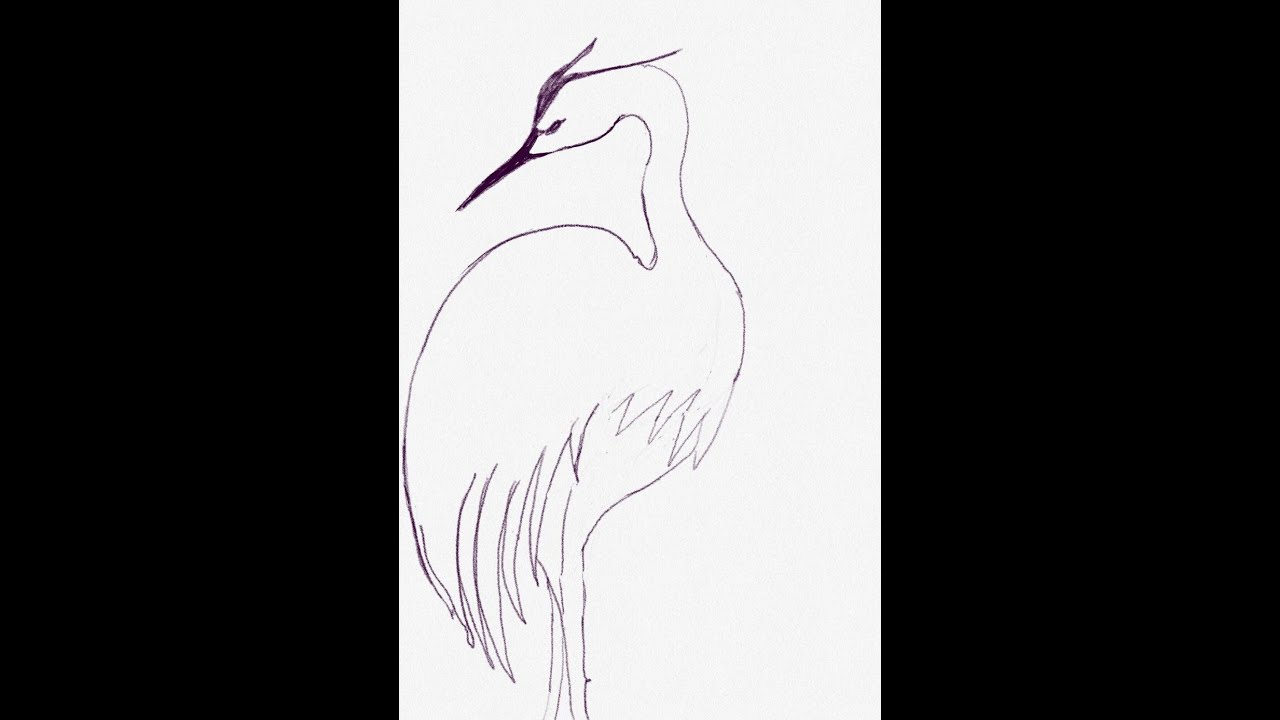White Crane Walking Qigong