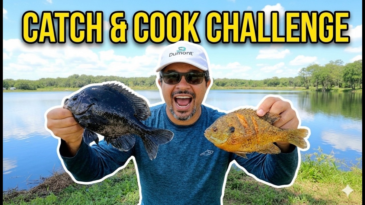 Extreme Bank Fishing! Catch and Cook Challenge
