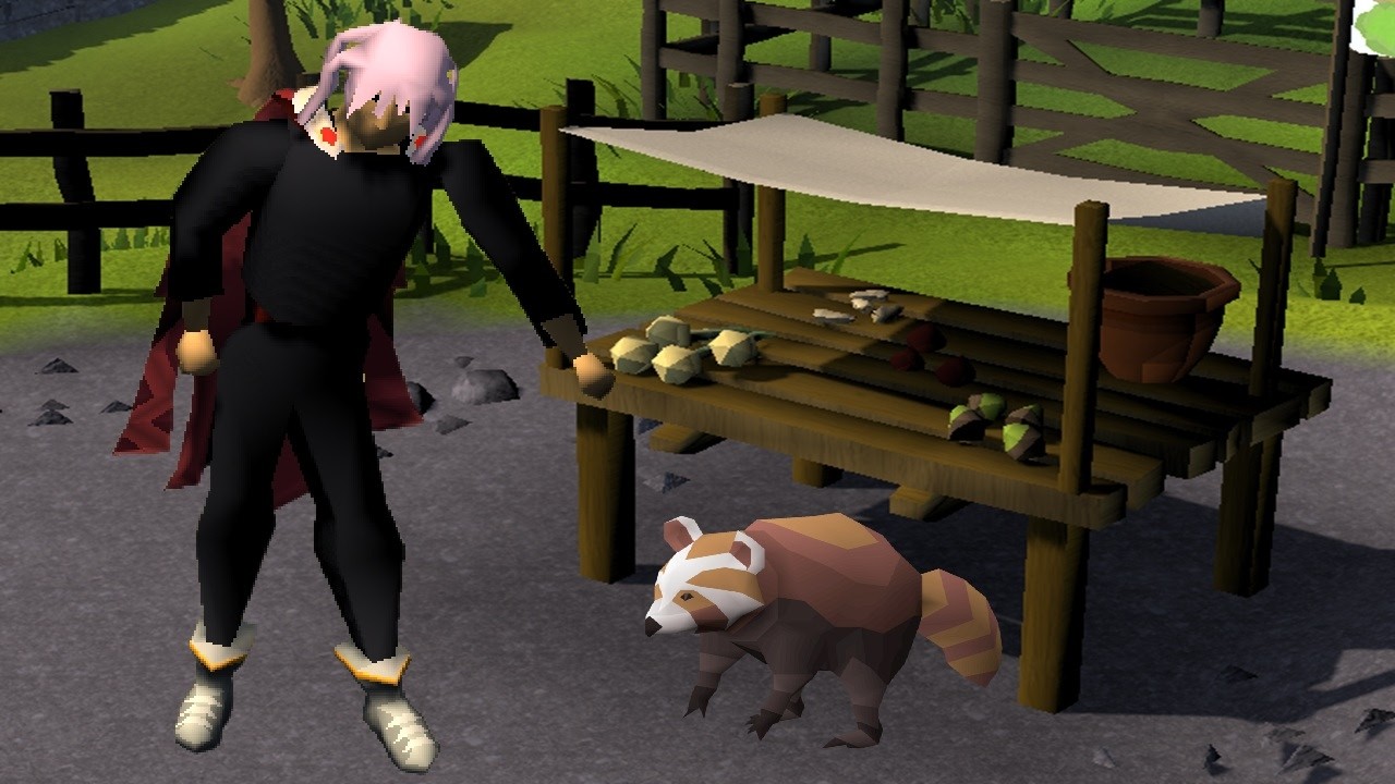 Fastest Thieving Pet Guide OSRS