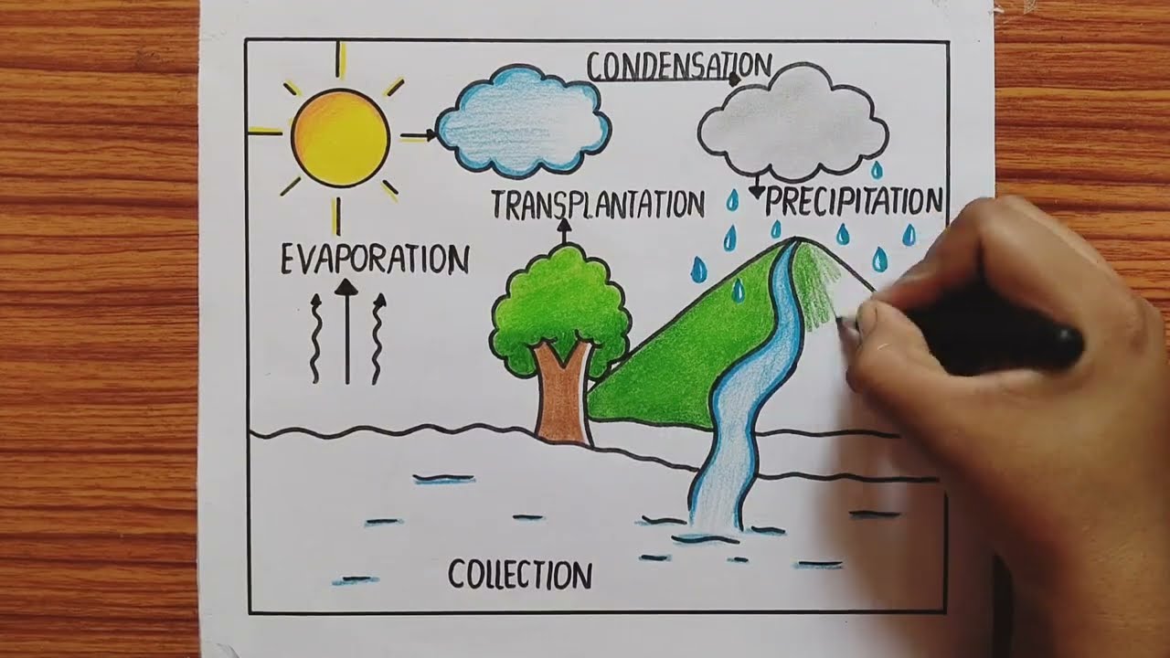 How to Draw Water Cycle Drawing For School Project / Water Cycle Drawing / Water Cycle Project