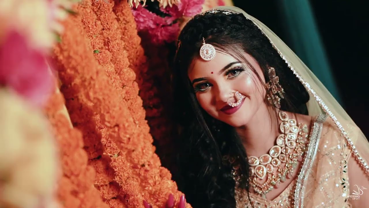 HALDI NIGHT OF KOLI Trailer l Wedding Spot