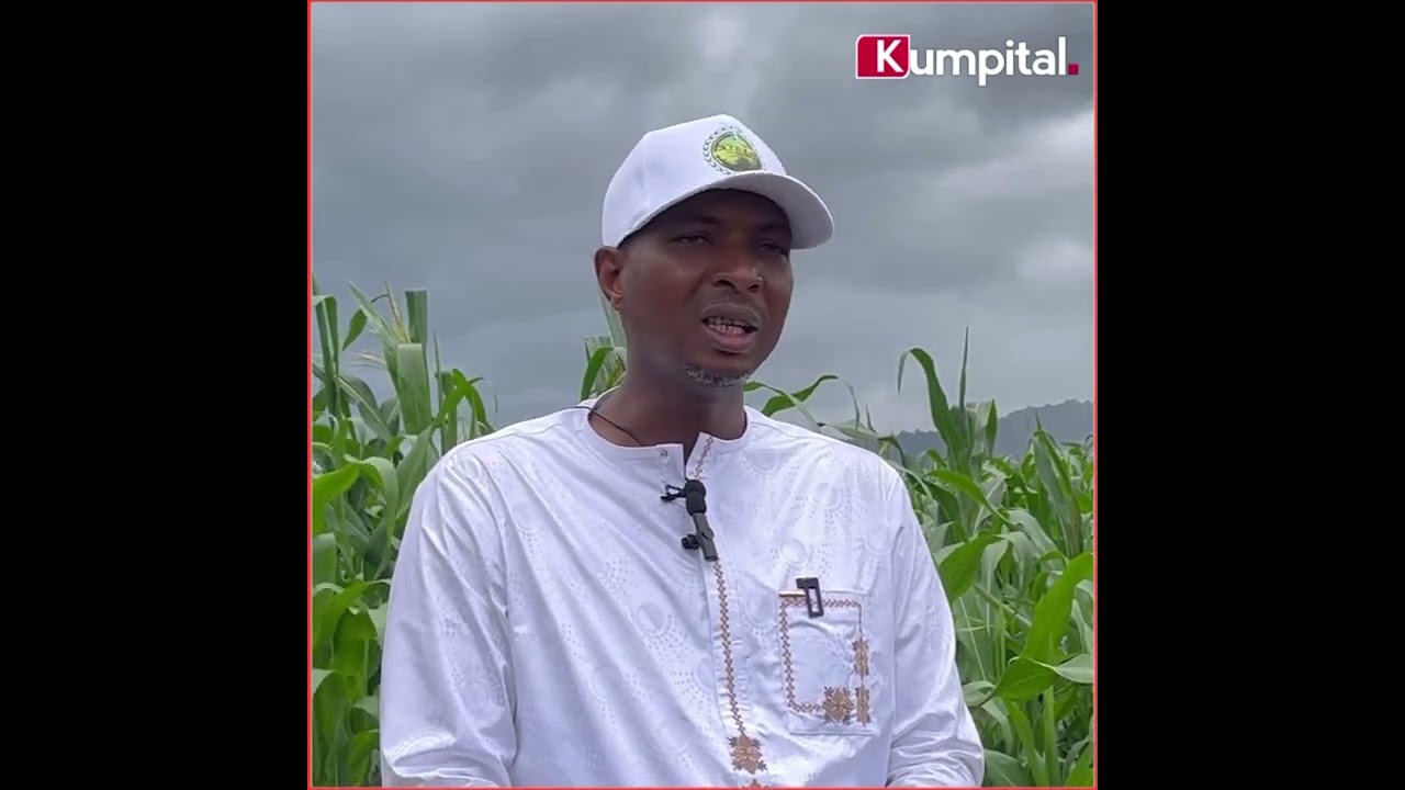 Ditinn/Dalaba🇬🇳: il emploie plus 100 personnes dans son champ de 22 hectares.