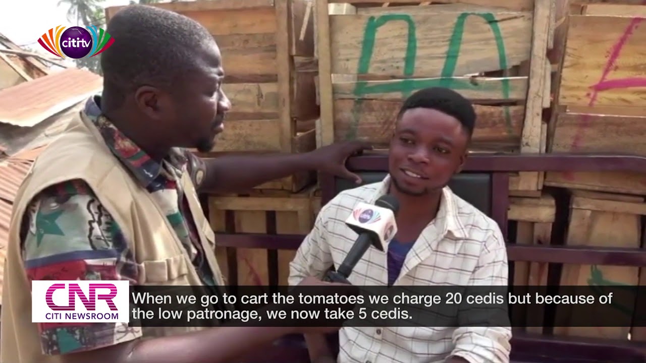 Tomato production: Farmers in Tuobodom lament low sales | Citi Newsroom
