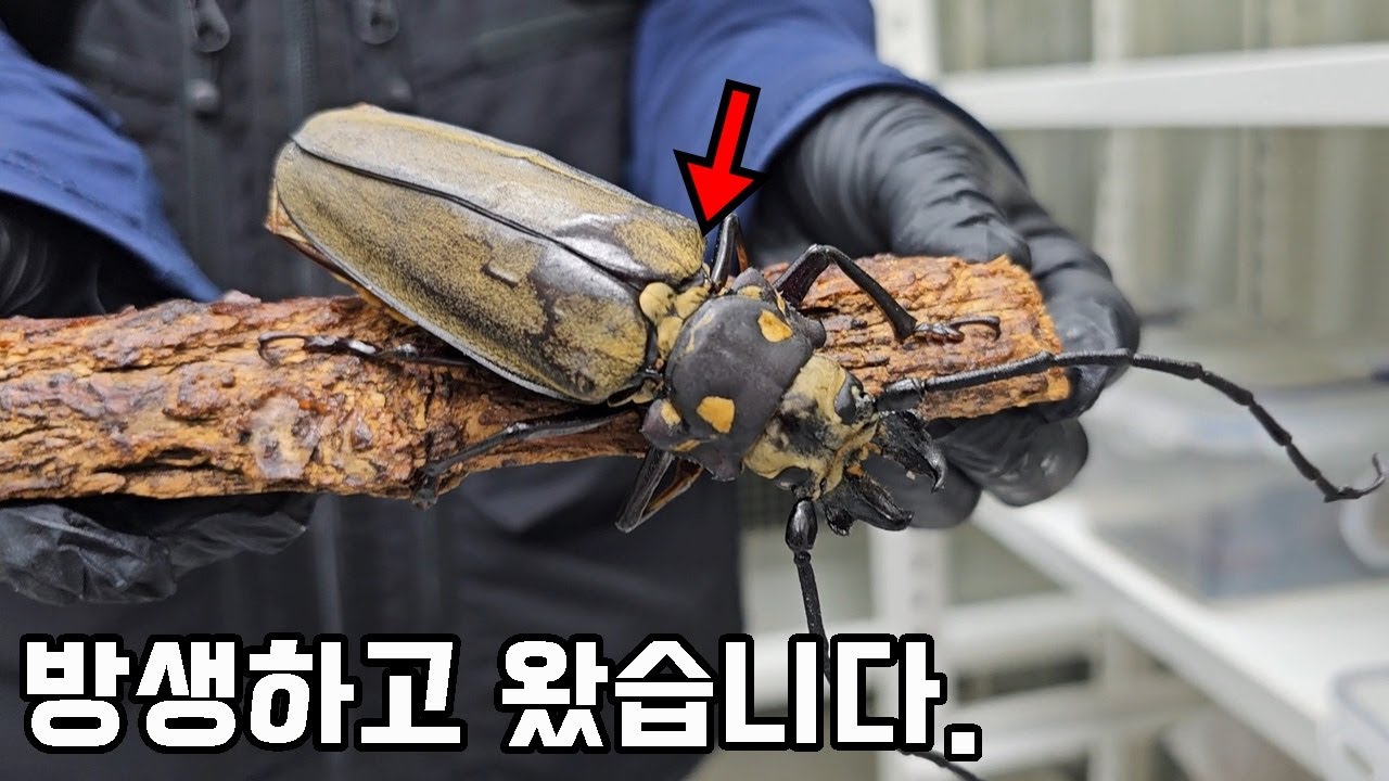 실수해도 벌금5천만원, 시청하고 꼭 지켜주세요...제발