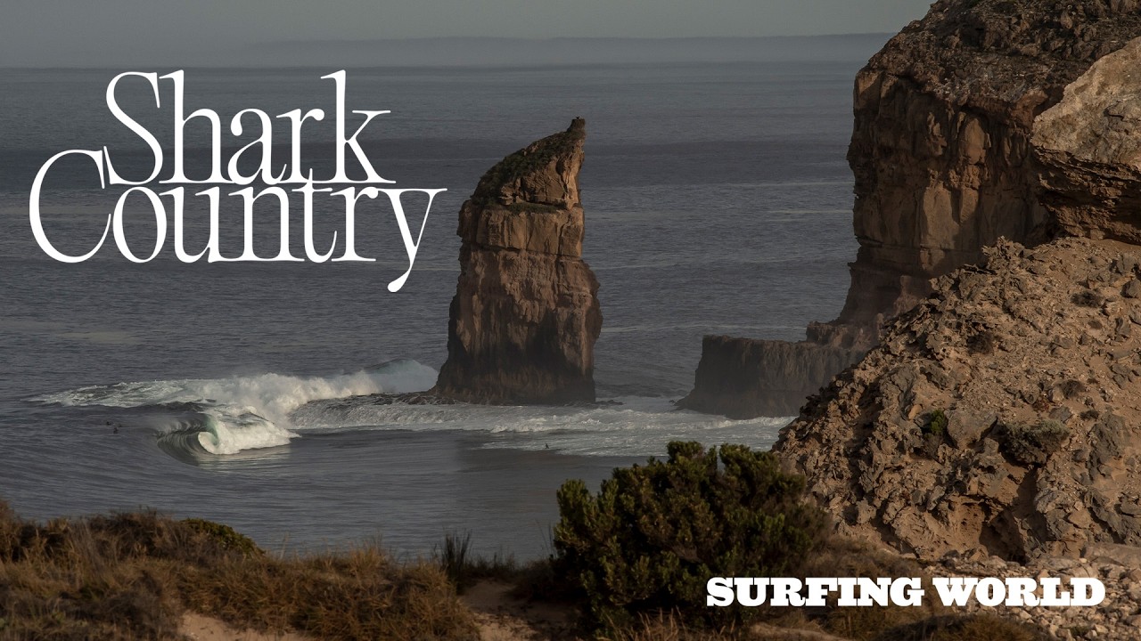 Shark Country